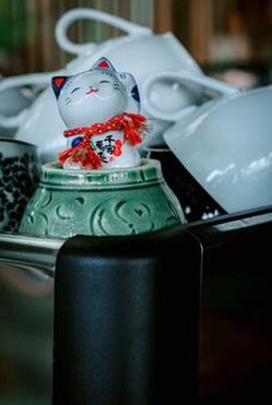 hợp pháp Nohu